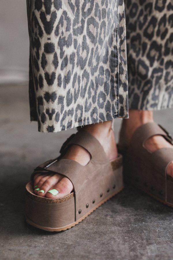 Roaming Leopard Print Pants - Brown For Cheap - Image 4